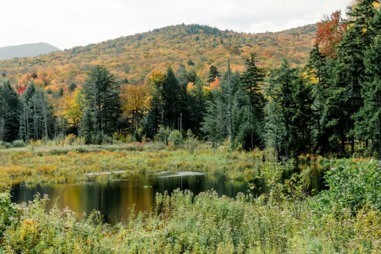 Stone hill in nature vermont united states