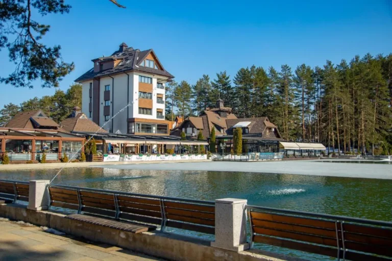 Vila masa zlatibor glutenfree view hotel